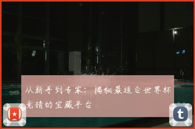 从新手到专家：揭秘最适合世界杯竞猜的宝藏平台