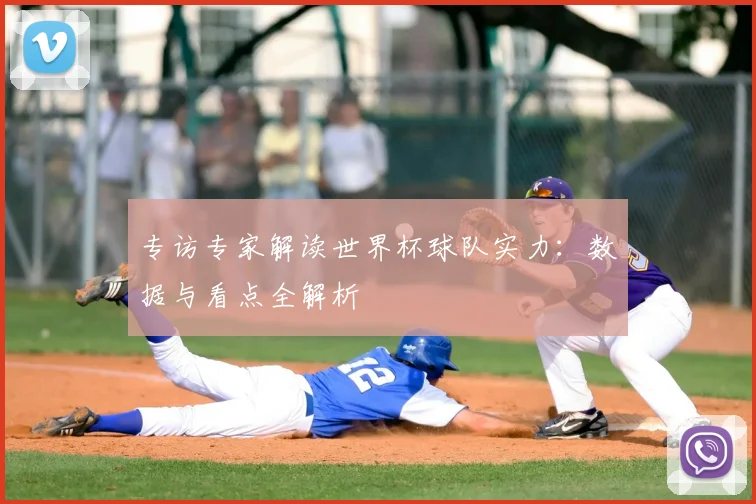 专访专家解读世界杯球队实力：数据与看点全解析