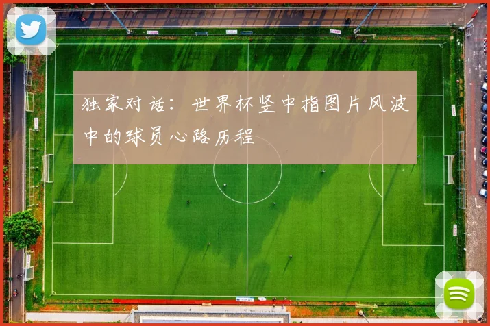 独家对话:世界杯竖中指图片风波中的球员心路历程
