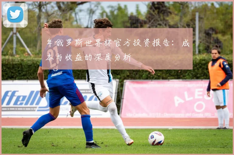 年俄罗斯世界杯官方投资报告：成本与收益的深度分析