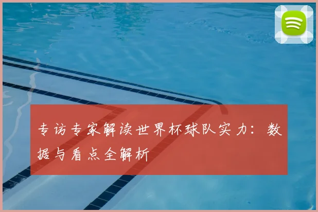专访专家解读世界杯球队实力：数据与看点全解析